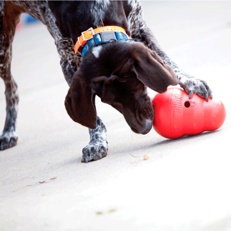 kong wobbler small kong wobbler small